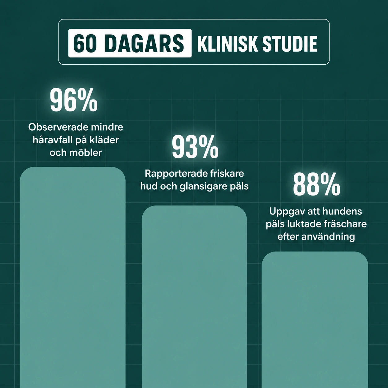 Pawvero™ Ångborste - Den ultimata borsten för husdjur
