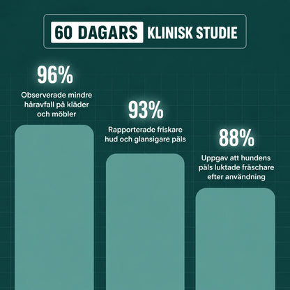 Pawvero™ Ångborste - Den ultimata borsten för husdjur